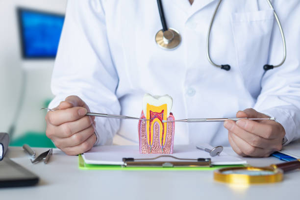 Best Emergency Root Canal Treatment in Brookside Village, TX